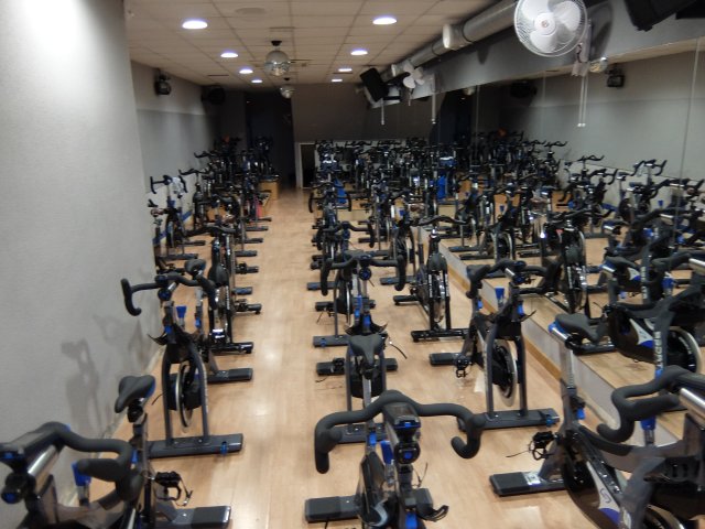 Ciclo2