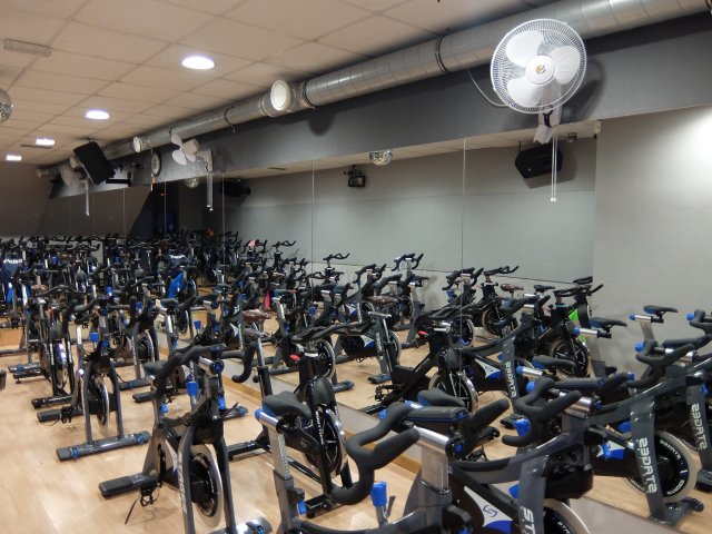 Ciclo4